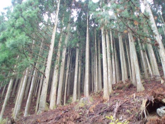 Pb010058